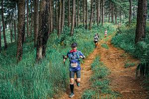 BIB: 
                            <button type="button" onclick="openModal(25663175)" class="btn btn-primary btn-sm float-right btn-popup" data-toggle="modal" data-target=".modal-high-quality">
                        <i class="fas fa-shopping-cart"></i> Add to Cart
                    </button>
                                            <button type="button" onclick="isThisMe(25663175, true)" class="btn btn-success btn-sm float-right btn-popup btn-isme hidden" data-toggle="tooltip" data-placement="bottom" title="นี่คือรูปของคุณใช่ไหม คลิกที่นี่เพื่อเอาเข้าอัลบั้ม">
                        <i class="fas fa-plus"></i> Add to album
                    </button>
                    <button type="button" onclick="isThisMe(25663175, false)" class="btn btn-warning btn-sm float-right btn-popup btn-isnotme hidden">
                        <i class="fas fa-ban"></i> Remove from album
                    </button>